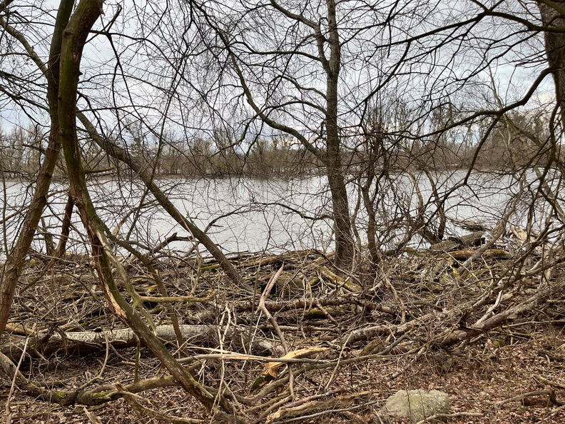 23-02-18 16-24-22 4277